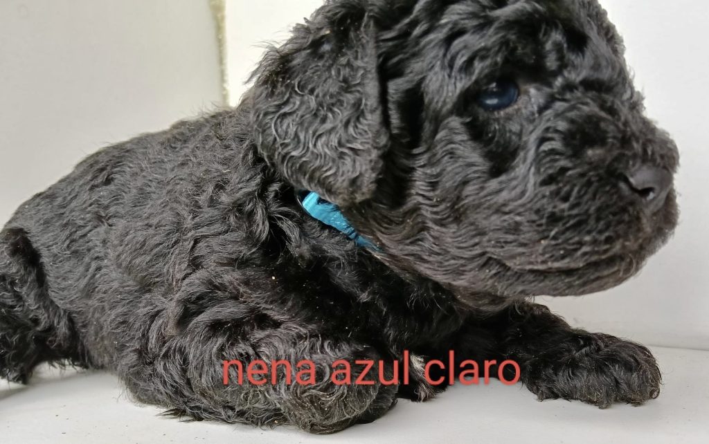 00d1e9f1-d5af-4e8f-bbbf-e8f152995f9e