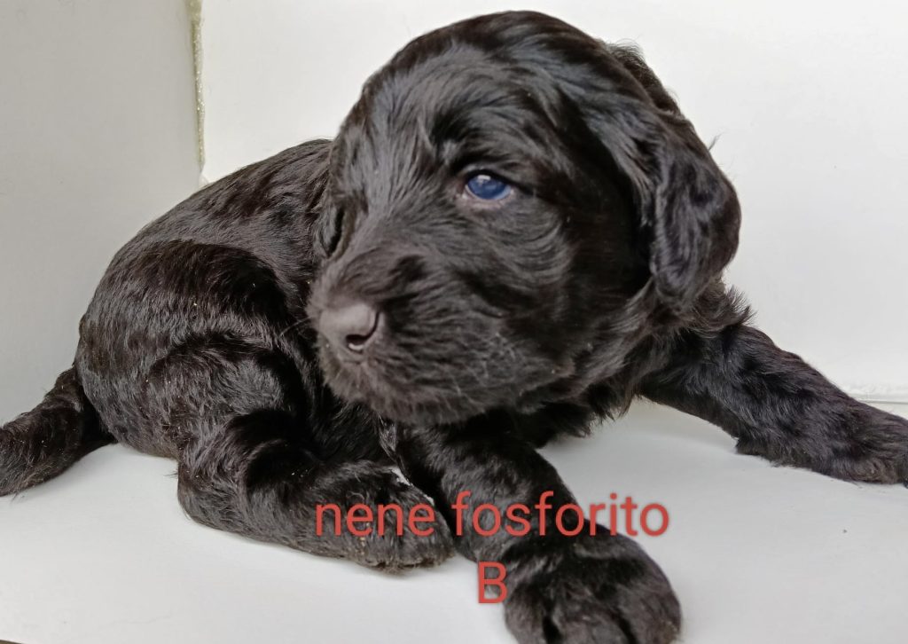 290bc27a-c468-46f5-bc23-73fd3a04e90d