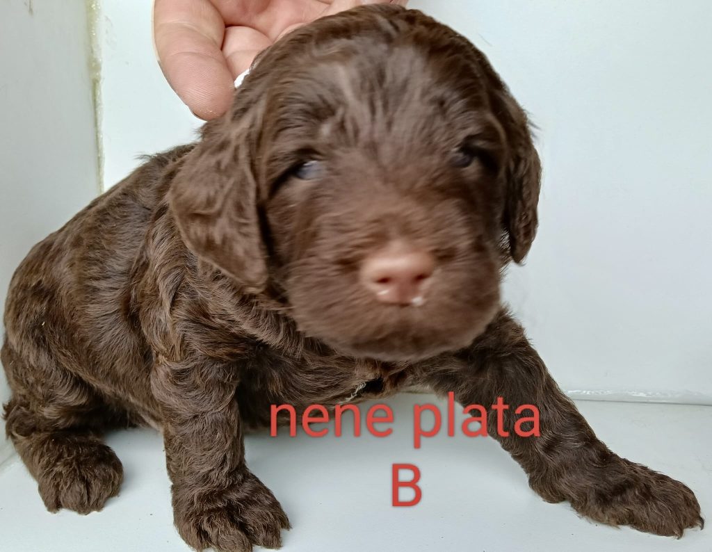 69291d67-f438-483b-b01b-af85b63d8f24