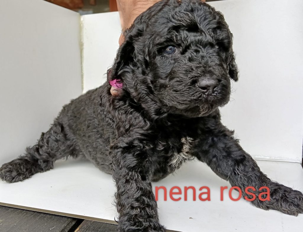 7890ffb6-9ae2-40fb-8233-3dba8a1e993a