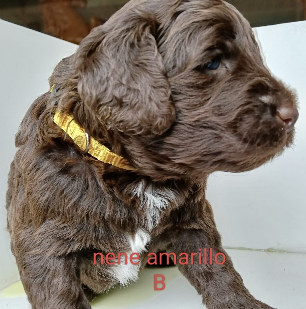 8aa0c5d2-0ecc-4e81-8fd9-73d7e0798ea3