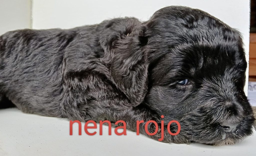 92fafb01-854d-4fd6-9a6e-c6e68309d8c7