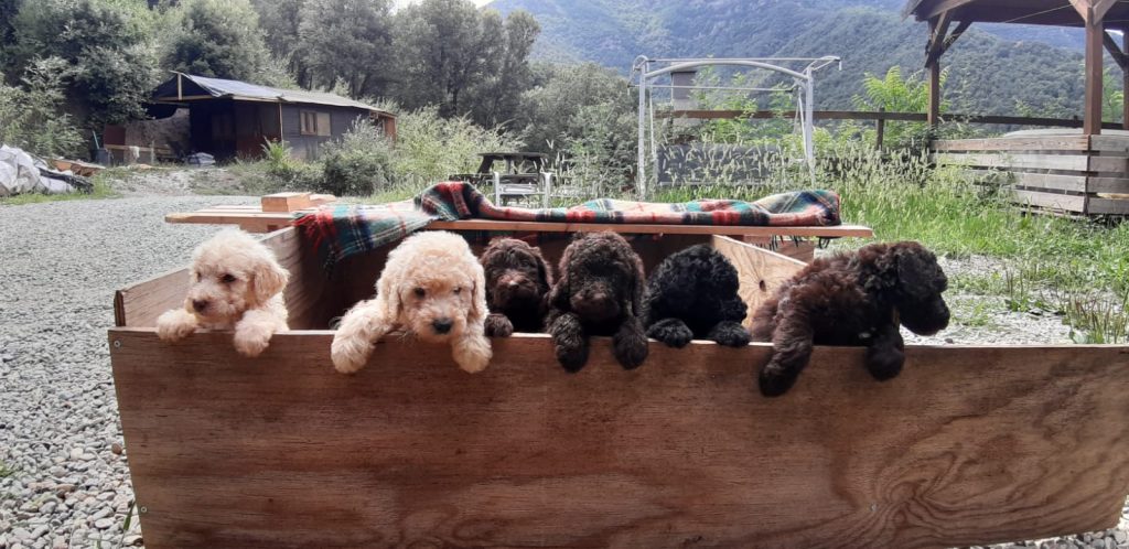 PHOTO-2025-06-24-17-07-33