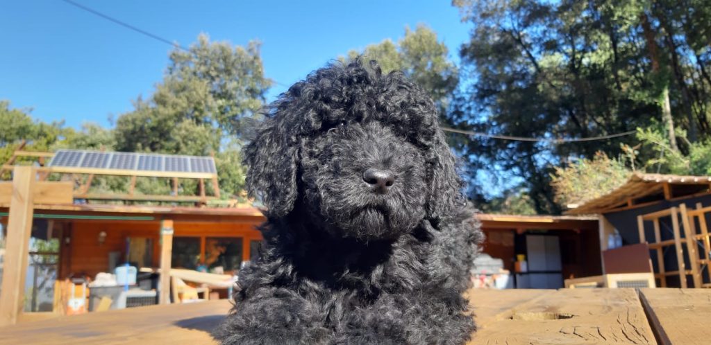 PHOTO-2025-06-24-17-07-36 2