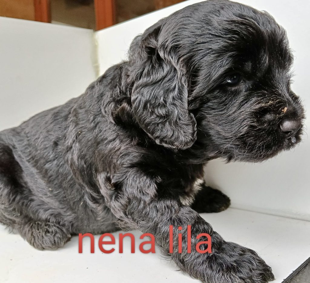 b9bd3f0c-4272-4538-9dfc-b0662d084e41