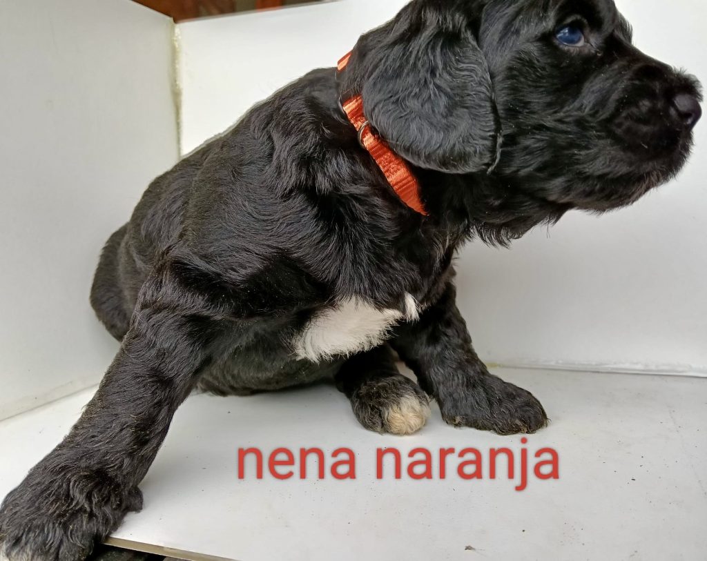 c5afdc60-63ad-4493-9d69-92ac4328bc82