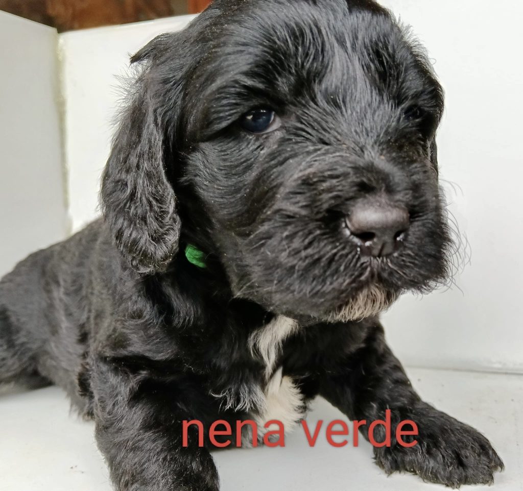 e73deadc-7428-4544-9878-b6ca309067a8